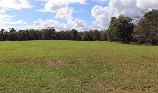 Photo of 67.95 +/- acres of Pasture and Forest Land For Sale In Robeson County NC!