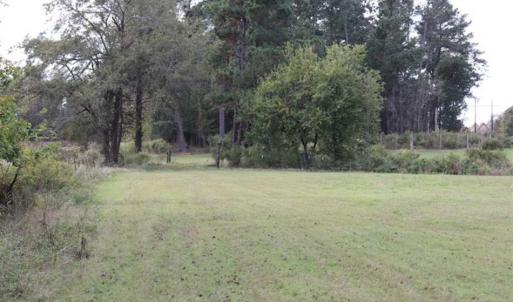 Photo of 67.95 +/- acres of Pasture and Forest Land For Sale In Robeson County NC!