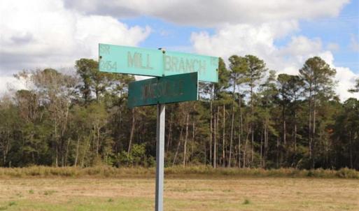 Photo of 67.95 +/- acres of Pasture and Forest Land For Sale In Robeson County NC!