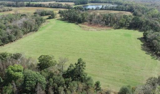 Photo of 67.95 +/- acres of Pasture and Forest Land For Sale In Robeson County NC!