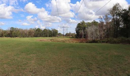 Photo of 67.95 +/- acres of Pasture and Forest Land For Sale In Robeson County NC!