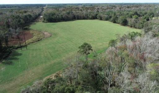 Photo of 67.95 +/- acres of Pasture and Forest Land For Sale In Robeson County NC!