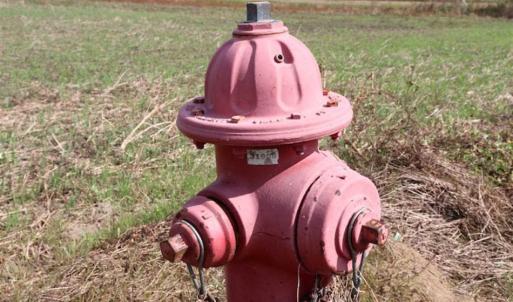 Photo of 67.95 +/- acres of Pasture and Forest Land For Sale In Robeson County NC!