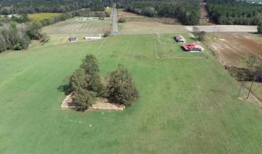 Photo of 67.95 +/- acres of Pasture and Forest Land For Sale In Robeson County NC!