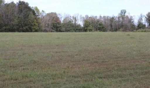 Photo of 67.95 +/- acres of Pasture and Forest Land For Sale In Robeson County NC!