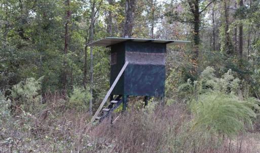 Photo of 67.95 +/- acres of Pasture and Forest Land For Sale In Robeson County NC!