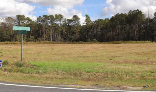 Photo of 67.95 +/- acres of Pasture and Forest Land For Sale In Robeson County NC!