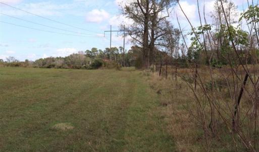 Photo of 67.95 +/- acres of Pasture and Forest Land For Sale In Robeson County NC!