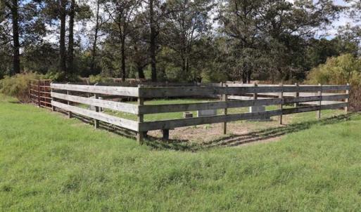 Photo of 67.95 +/- acres of Pasture and Forest Land For Sale In Robeson County NC!