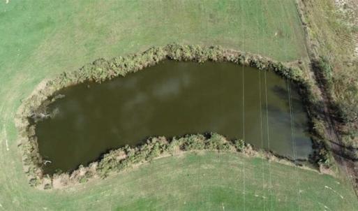 Photo of 67.95 +/- acres of Pasture and Forest Land For Sale In Robeson County NC!