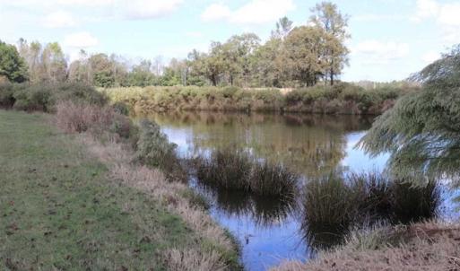 Photo of 67.95 +/- acres of Pasture and Forest Land For Sale In Robeson County NC!