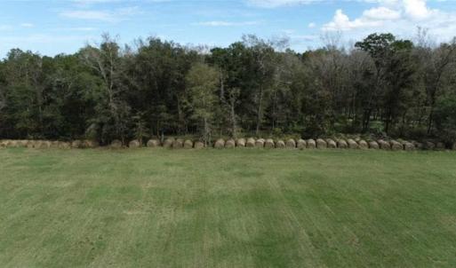Photo of 67.95 +/- acres of Pasture and Forest Land For Sale In Robeson County NC!