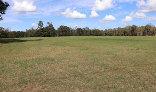 Photo of 67.95 +/- acres of Pasture and Forest Land For Sale In Robeson County NC!