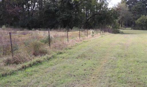 Photo of 67.95 +/- acres of Pasture and Forest Land For Sale In Robeson County NC!