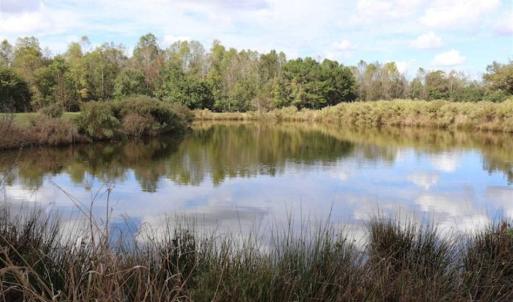 Photo of 67.95 +/- acres of Pasture and Forest Land For Sale In Robeson County NC!