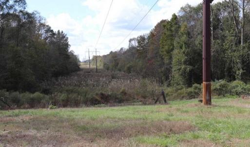 Photo of 67.95 +/- acres of Pasture and Forest Land For Sale In Robeson County NC!
