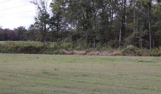 Photo of 67.95 +/- acres of Pasture and Forest Land For Sale In Robeson County NC!