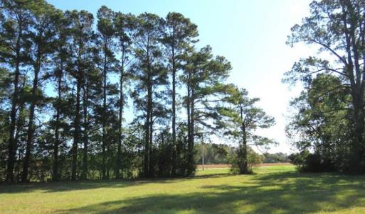 Photo of UNDER CONTRACT!!  32.85 Ac of Residential and Recreational Land For Sale in Columbus County NC!
