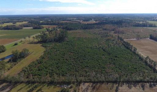 Photo of UNDER CONTRACT!!  32.85 Ac of Residential and Recreational Land For Sale in Columbus County NC!