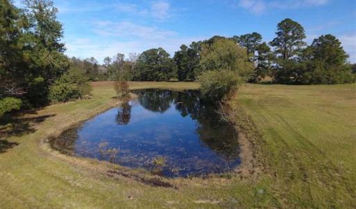 Photo of UNDER CONTRACT!!  32.85 Ac of Residential and Recreational Land For Sale in Columbus County NC!