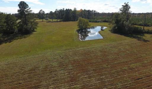Photo of UNDER CONTRACT!!  32.85 Ac of Residential and Recreational Land For Sale in Columbus County NC!