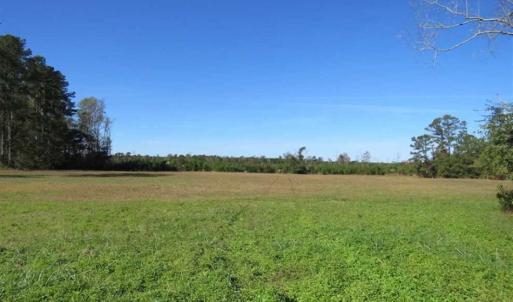 Photo of UNDER CONTRACT!!  32.85 Ac of Residential and Recreational Land For Sale in Columbus County NC!
