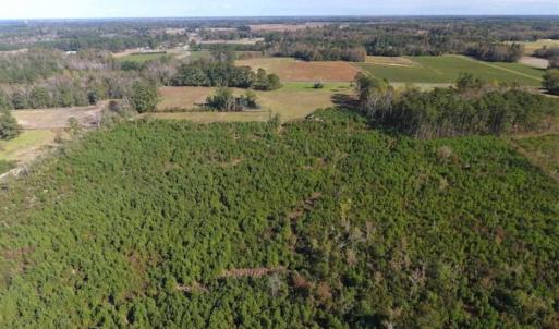 Photo of UNDER CONTRACT!!  32.85 Ac of Residential and Recreational Land For Sale in Columbus County NC!