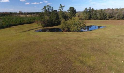 Photo of UNDER CONTRACT!!  32.85 Ac of Residential and Recreational Land For Sale in Columbus County NC!