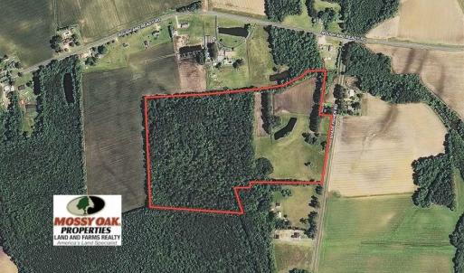 Photo of UNDER CONTRACT!!  32.85 Ac of Residential and Recreational Land For Sale in Columbus County NC!