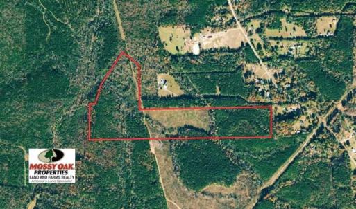 Photo of UNDER CONTRACT!  50 Acres of Hunting and Timber Land For Sale in Lee County NC!