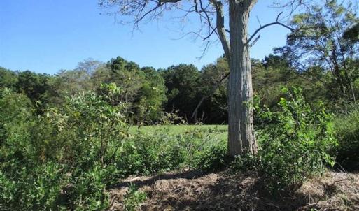 Photo of 1.47 acres of Residential Waterfront Land For Sale in Accomack County VA!