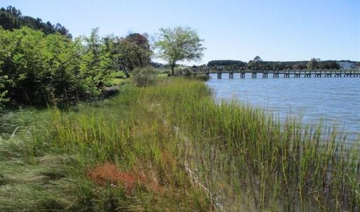 Photo of 1.47 acres of Residential Waterfront Land For Sale in Accomack County VA!
