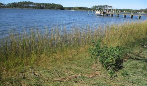 Photo of 1.47 acres of Residential Waterfront Land For Sale in Accomack County VA!