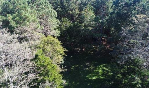 Photo of 1.47 acres of Residential Waterfront Land For Sale in Accomack County VA!
