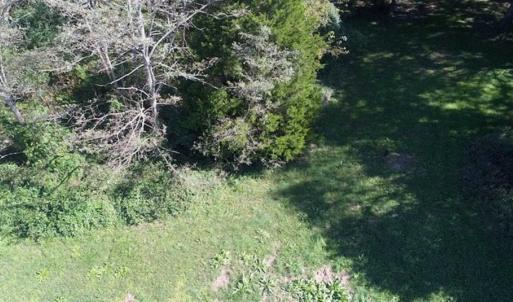 Photo of 1.47 acres of Residential Waterfront Land For Sale in Accomack County VA!