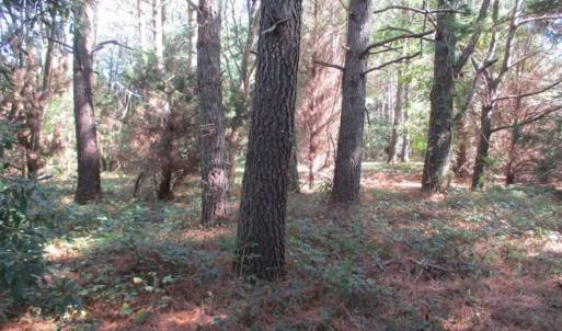 Photo of 1.47 acres of Residential Waterfront Land For Sale in Accomack County VA!