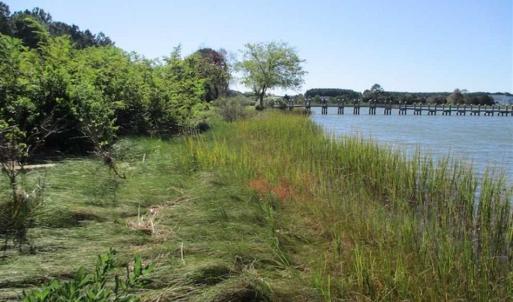 Photo of 1.47 acres of Residential Waterfront Land For Sale in Accomack County VA!