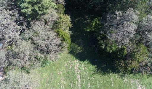 Photo of 1.47 acres of Residential Waterfront Land For Sale in Accomack County VA!
