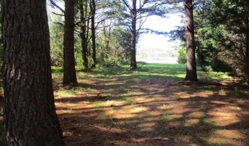 Photo of 1.47 acres of Residential Waterfront Land For Sale in Accomack County VA!
