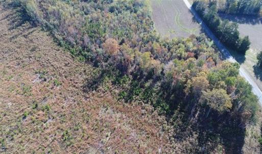 Photo of UNDER CONTRACT!!  46 acres of Recreational Timberland For Sale in King and Queen Co VA!