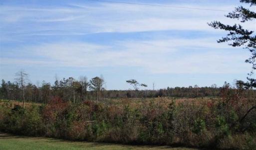 Photo of UNDER CONTRACT!!  46 acres of Recreational Timberland For Sale in King and Queen Co VA!
