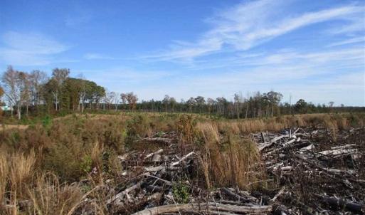 Photo of UNDER CONTRACT!!  46 acres of Recreational Timberland For Sale in King and Queen Co VA!