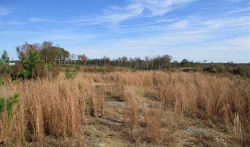 Photo of UNDER CONTRACT!!  46 acres of Recreational Timberland For Sale in King and Queen Co VA!