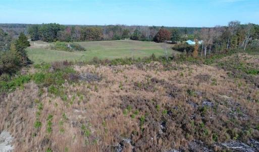 Photo of UNDER CONTRACT!!  46 acres of Recreational Timberland For Sale in King and Queen Co VA!
