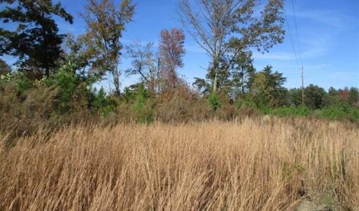 Photo of UNDER CONTRACT!!  46 acres of Recreational Timberland For Sale in King and Queen Co VA!