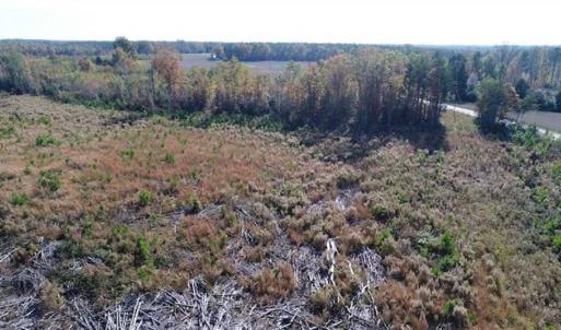 Photo of UNDER CONTRACT!!  46 acres of Recreational Timberland For Sale in King and Queen Co VA!