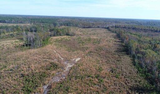 Photo of UNDER CONTRACT!!  46 acres of Recreational Timberland For Sale in King and Queen Co VA!