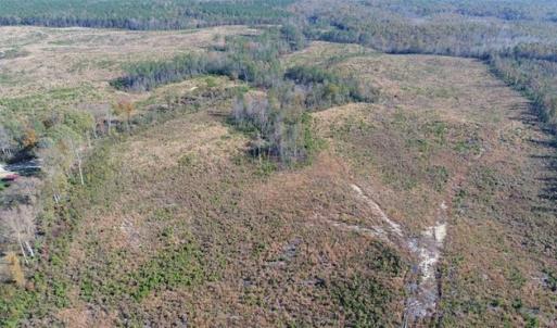 Photo of UNDER CONTRACT!!  46 acres of Recreational Timberland For Sale in King and Queen Co VA!