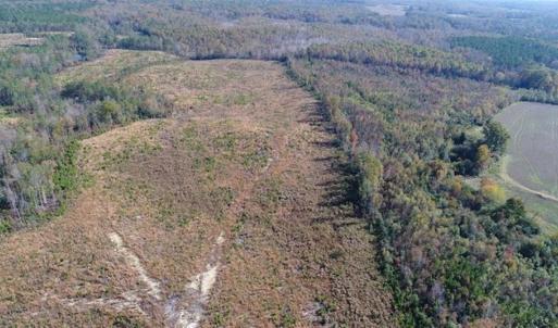 Photo of UNDER CONTRACT!!  46 acres of Recreational Timberland For Sale in King and Queen Co VA!