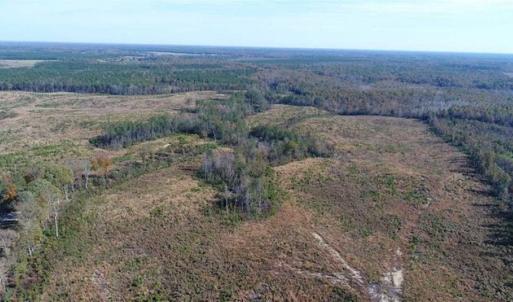 Photo of UNDER CONTRACT!!  46 acres of Recreational Timberland For Sale in King and Queen Co VA!